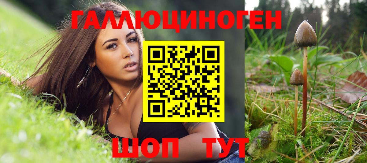 Галлюциногенные грибы Cubensis Сальск
