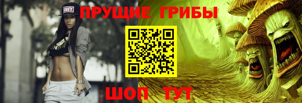 Сальск  Псилоцибиновые грибы Psilocybine cubensis  Вход с VPN 